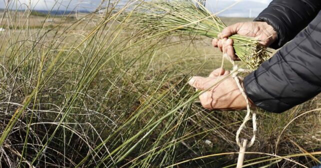 Murcia servicios ecosistémicos desarrollo sostenible