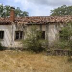 Restauration environnementale de la «forêt de Villafría» (Burgos)