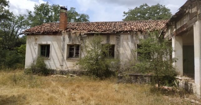 Restauración ambiental Bosque Villafría