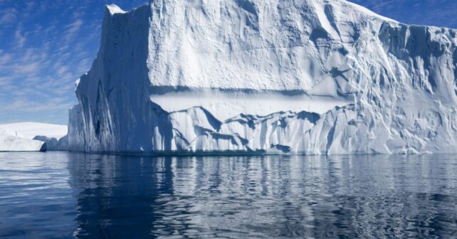 Iceberg Georgia Sur pingüinos focas