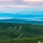 Visitez la salle de classe Nature à Bailén (Jaén) et connaît ses espaces naturels